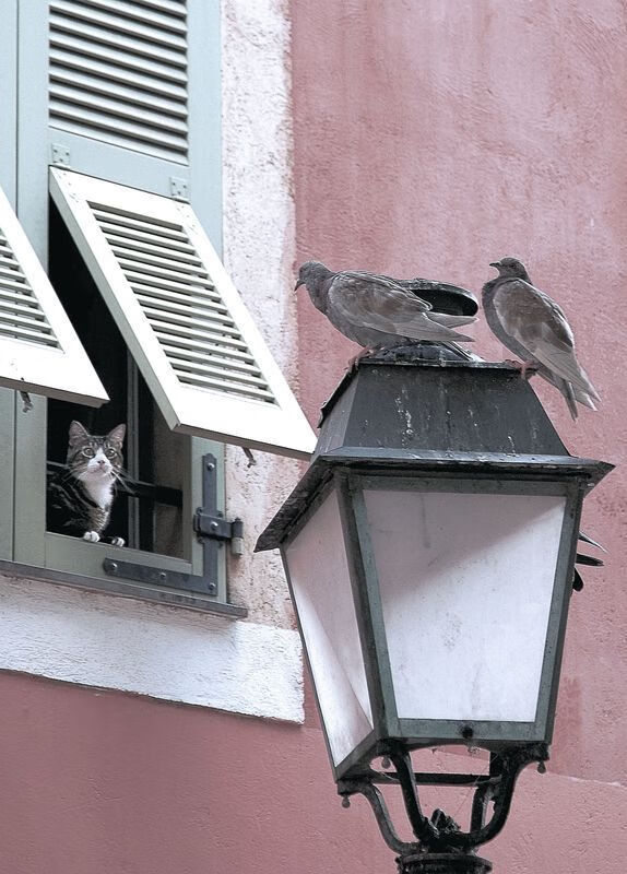 爱游戏资讯-_奇才攻防兼备，排名持续提升_，奇才技能是什么