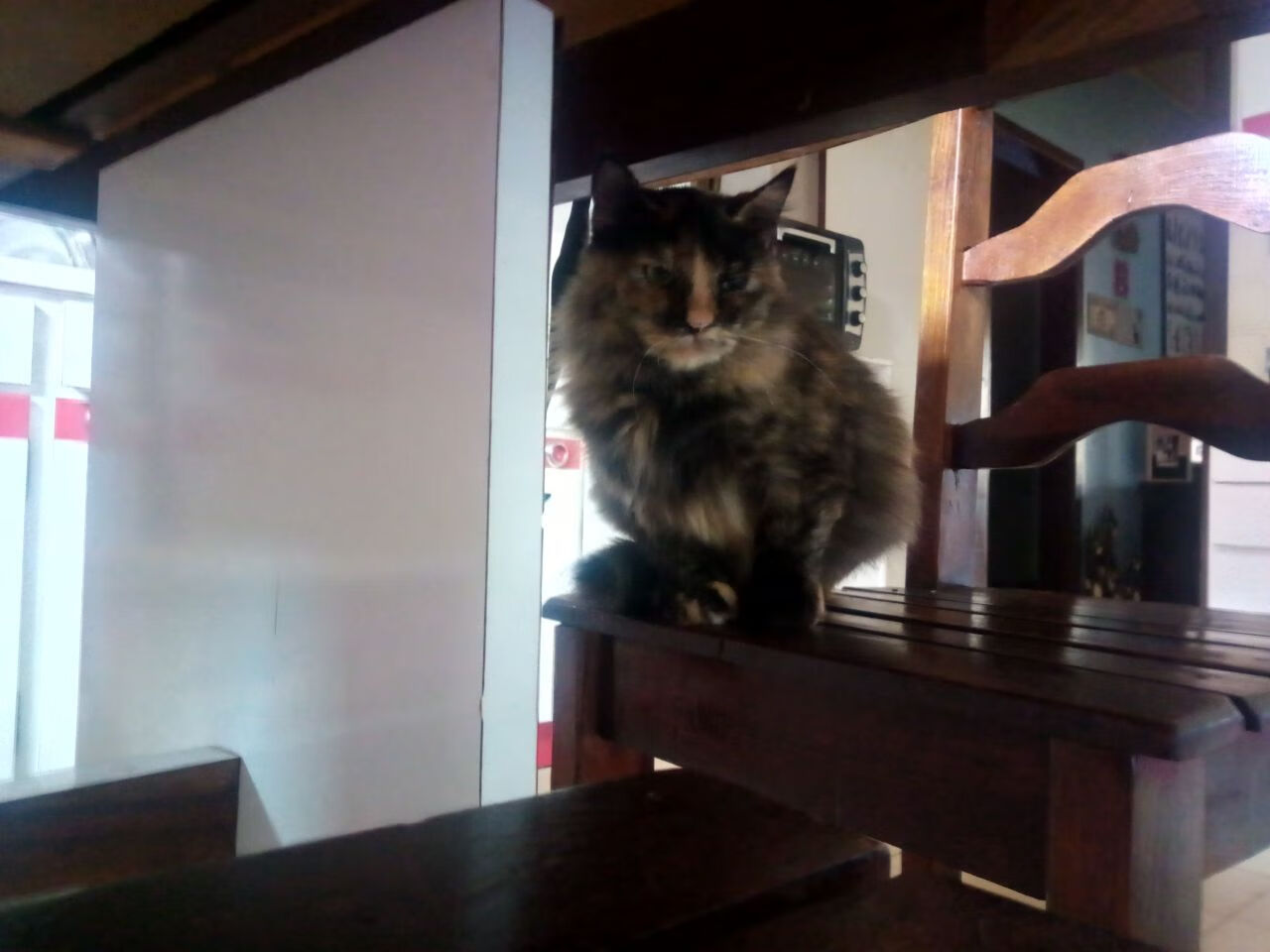 “德甲领头羊状态火热,争夺冠军进入白热化”,德甲收官